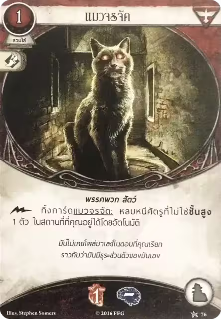 Stray Cat